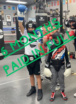Shop – Power Boxing Fitness and Sports Training